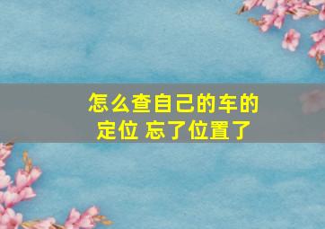 怎么查自己的车的定位 忘了位置了